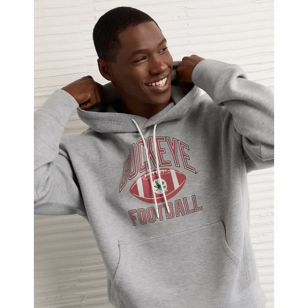 AE 24/7 Ohio State Buckeyes Graphic Hoodie - Heather Gray