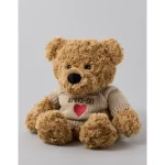 Warmies Teddy Bear - Multi